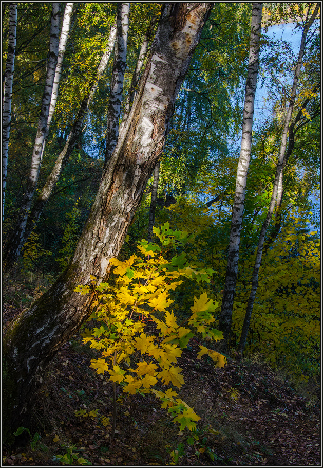 фото "***" метки: пейзаж, 