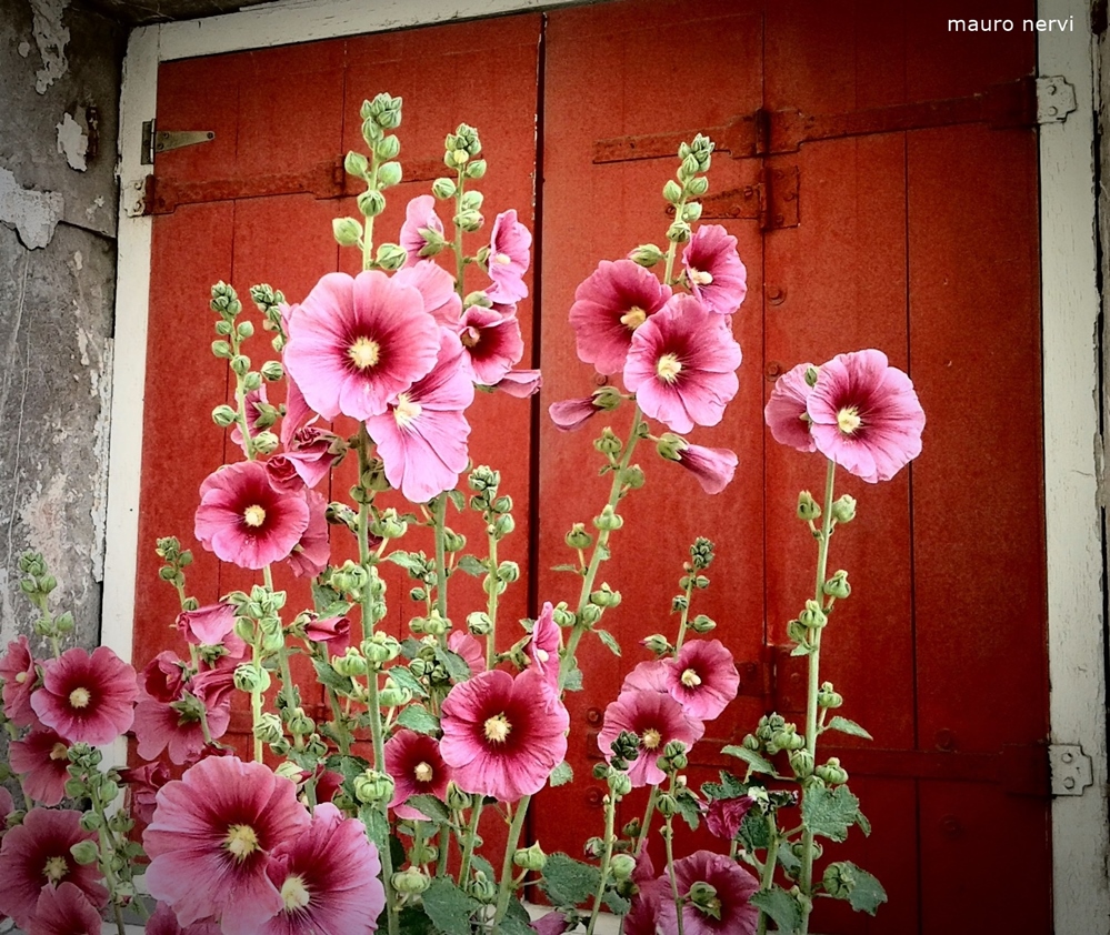 photo "colours in the street" tags: street, 