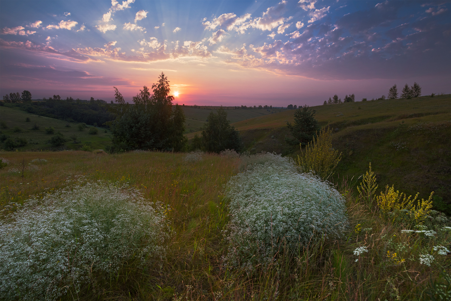 фото "Перекати- поле" метки: пейзаж, 