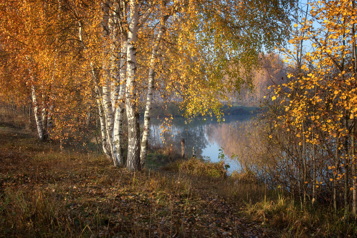 photo "***" tags: landscape, autumn, волхонка