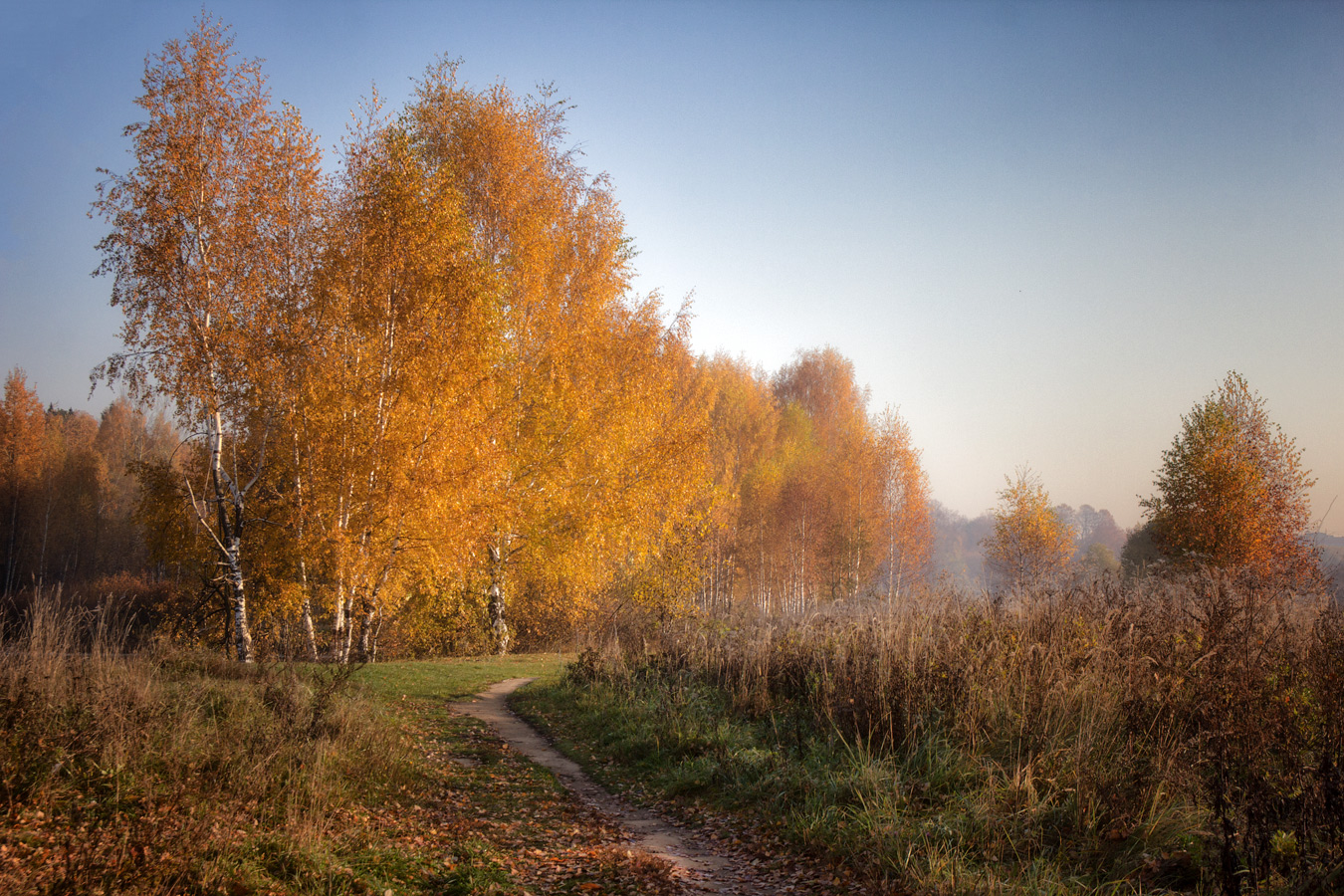 фото "Осенний этюд" метки: пейзаж, волхонка, осень, парк, утро