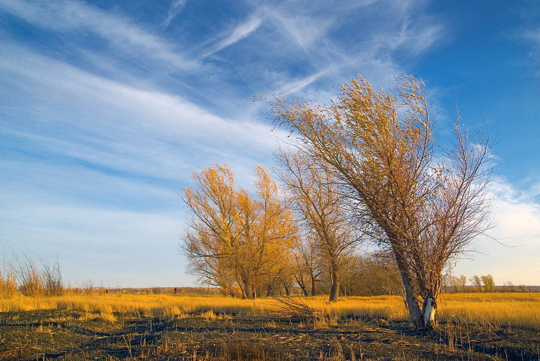 photo "***" tags: landscape, autumn, clouds