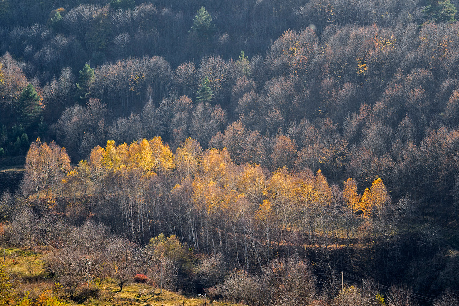 фото "***" метки: пейзаж, 