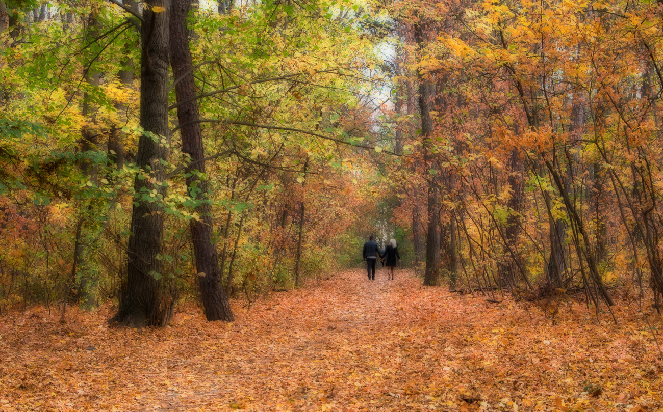 photo "***" tags: nature, autumn, love, park