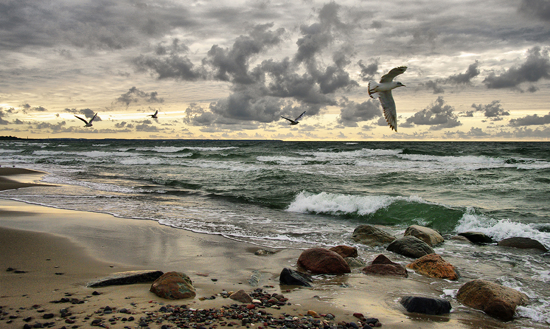 photo "***" tags: nature, landscape, sea, Балтика