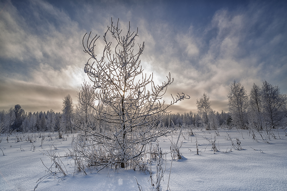 photo "***" tags: landscape, 