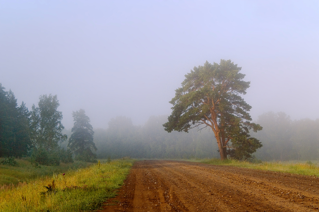 photo "***" tags: landscape, summer