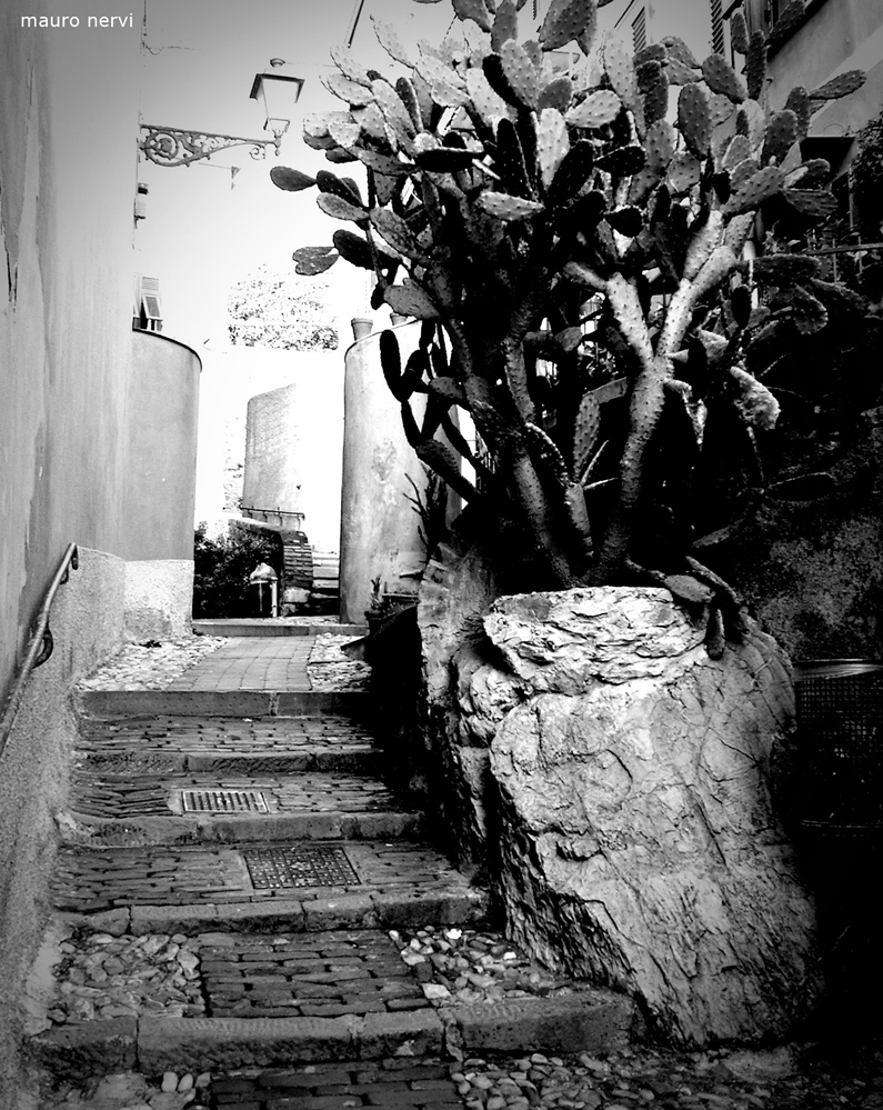 photo "alley" tags: black&white, 