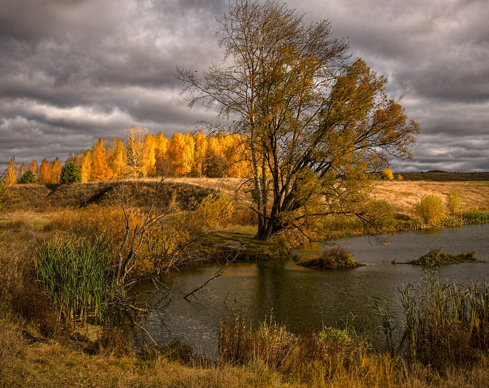 photo "***" tags: landscape, autumn