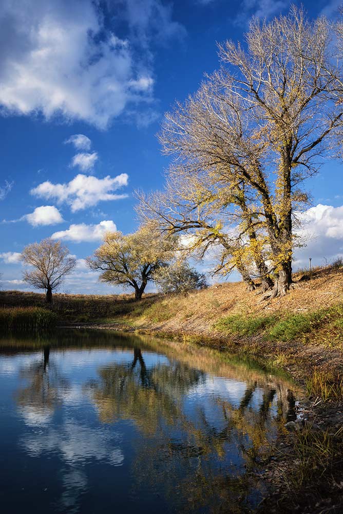 photo "***" tags: landscape, 