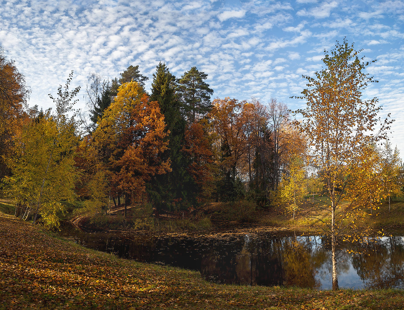 фото "Середина осени - октябрь" метки: природа, пейзаж, 