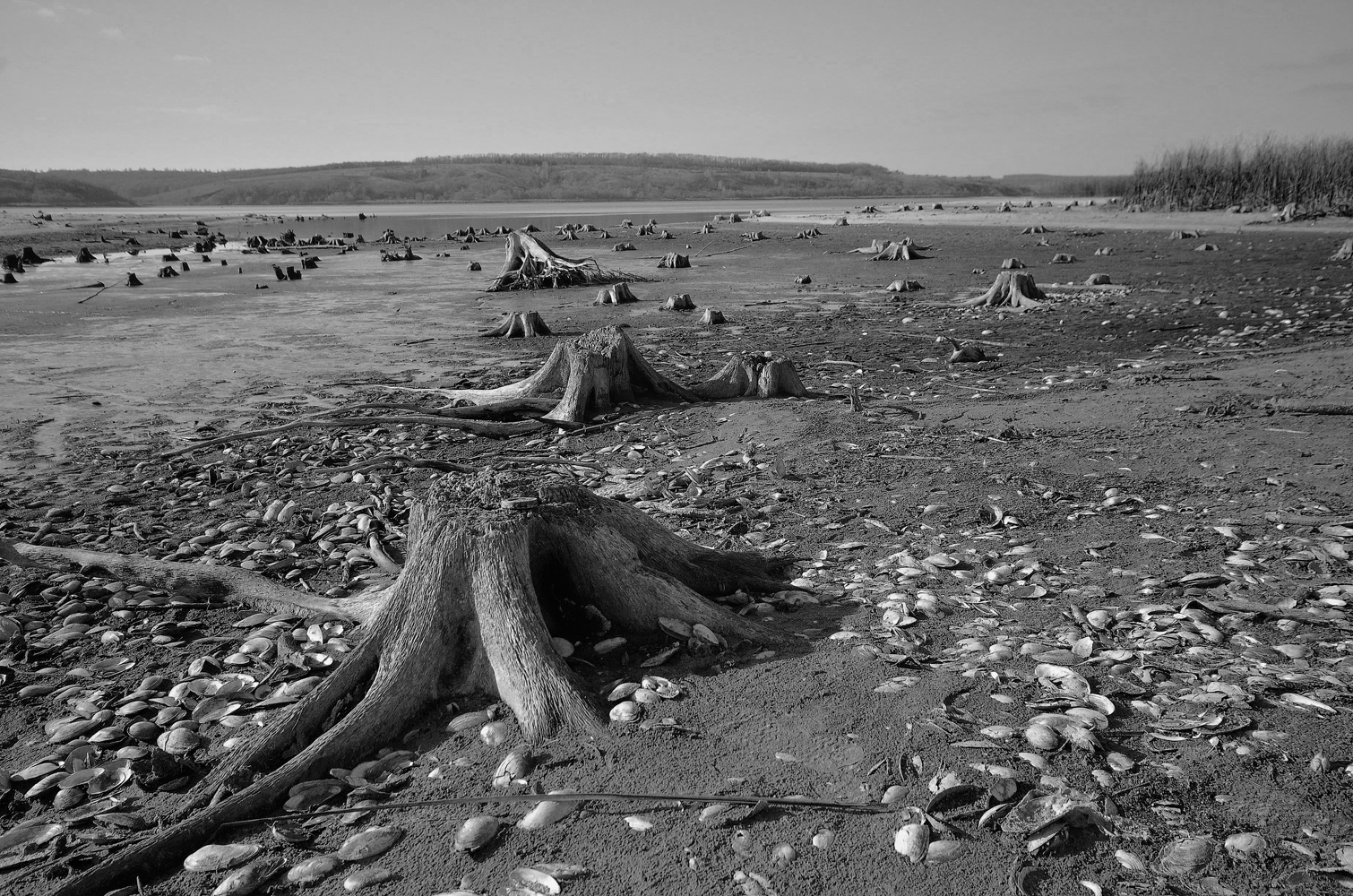 фото "Когда ушла вода..." метки: природа, вода, экология