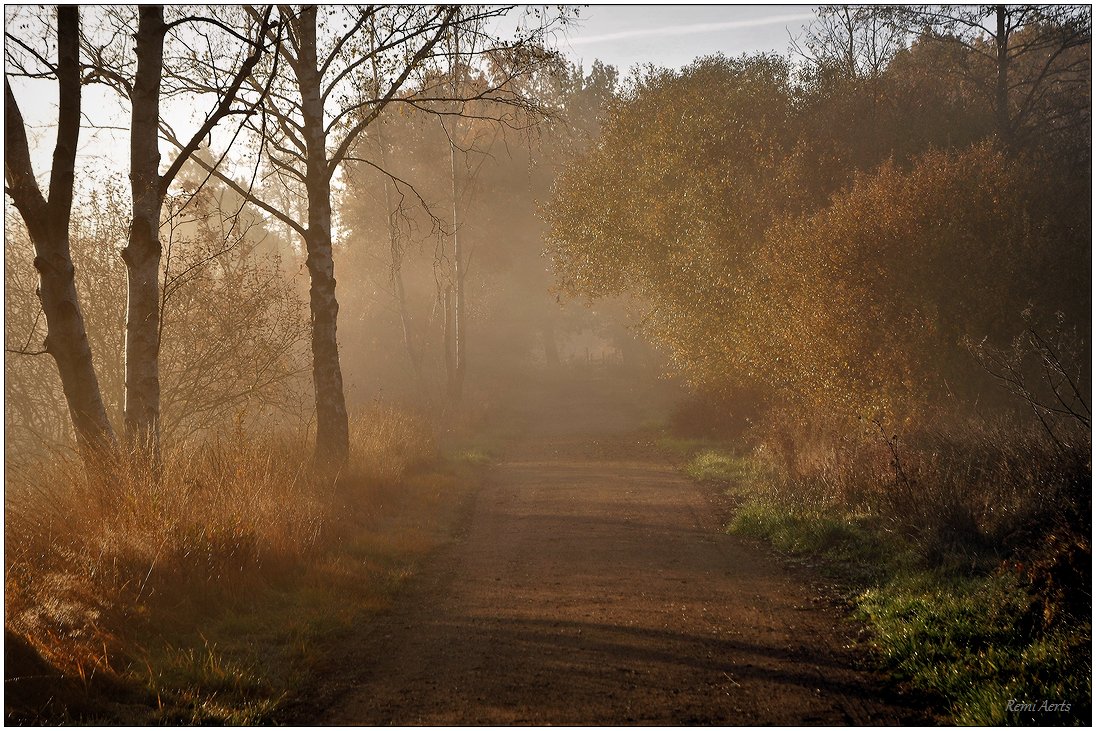 photo "***" tags: landscape, nature, 