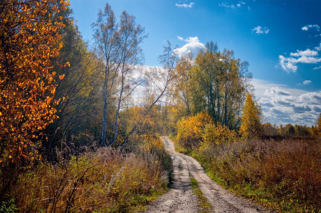 фото "***" метки: пейзаж, дорога, лес, осень