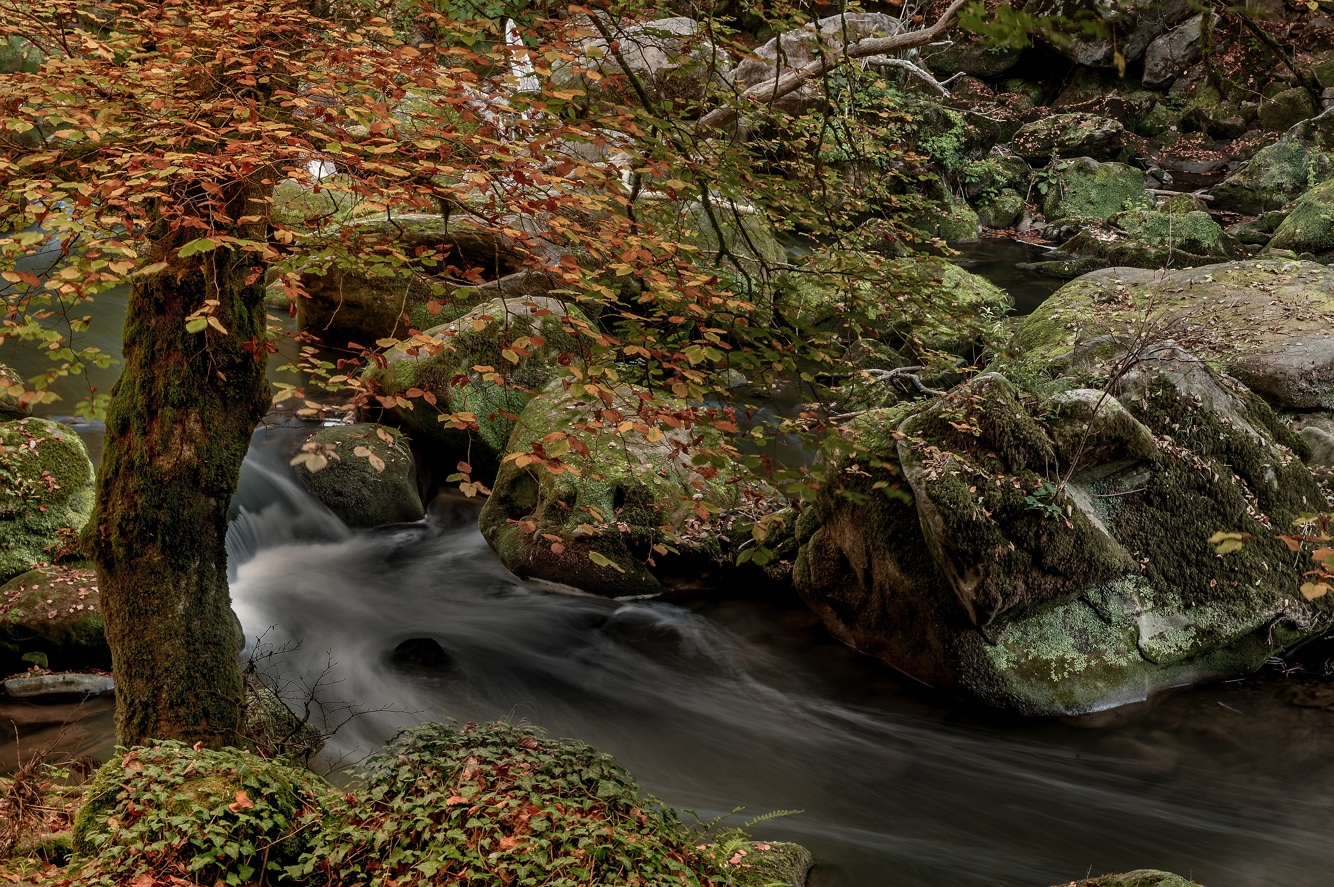 photo "***" tags: landscape, 