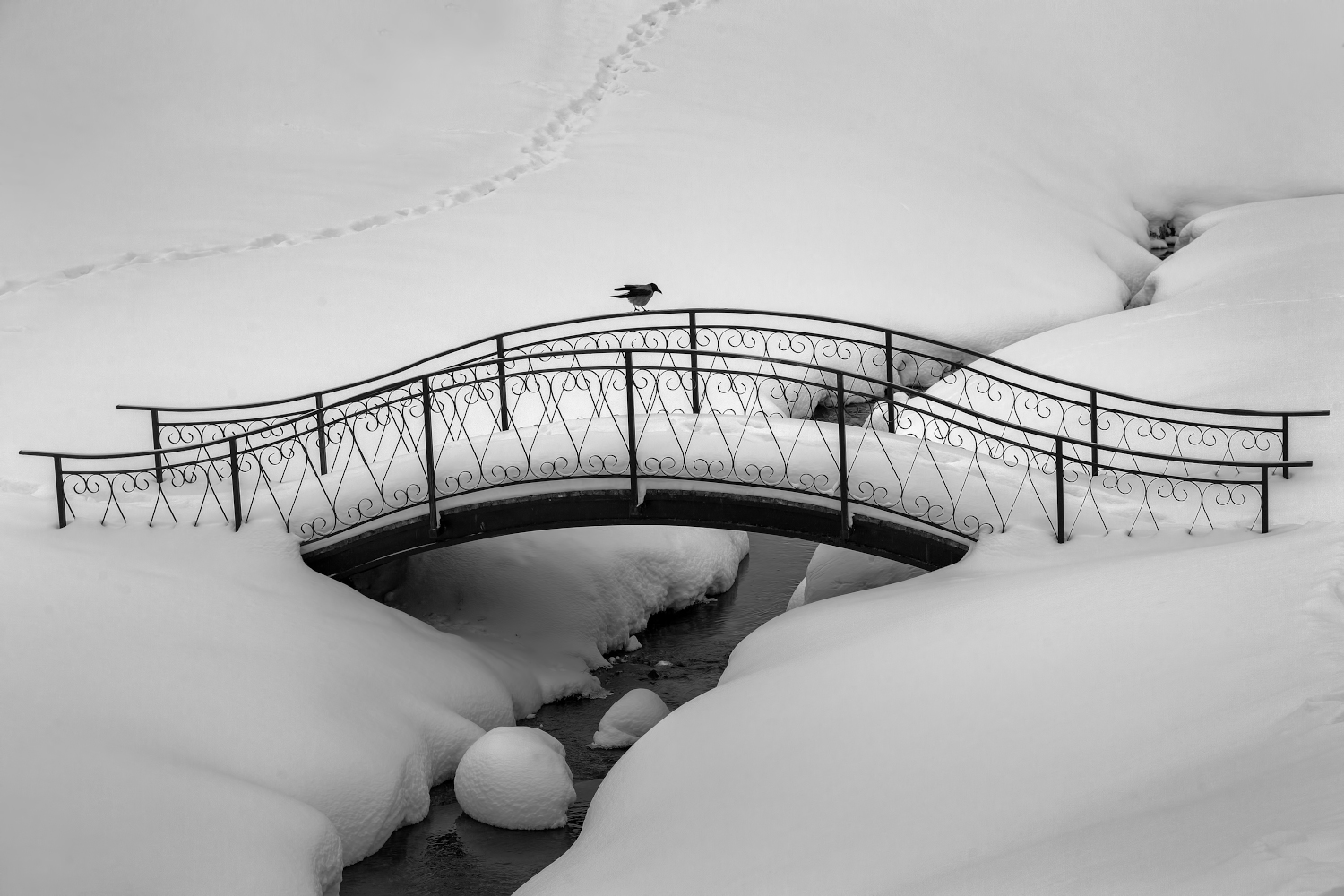 фото "Эквилибристка..." метки: пейзаж, природа, 