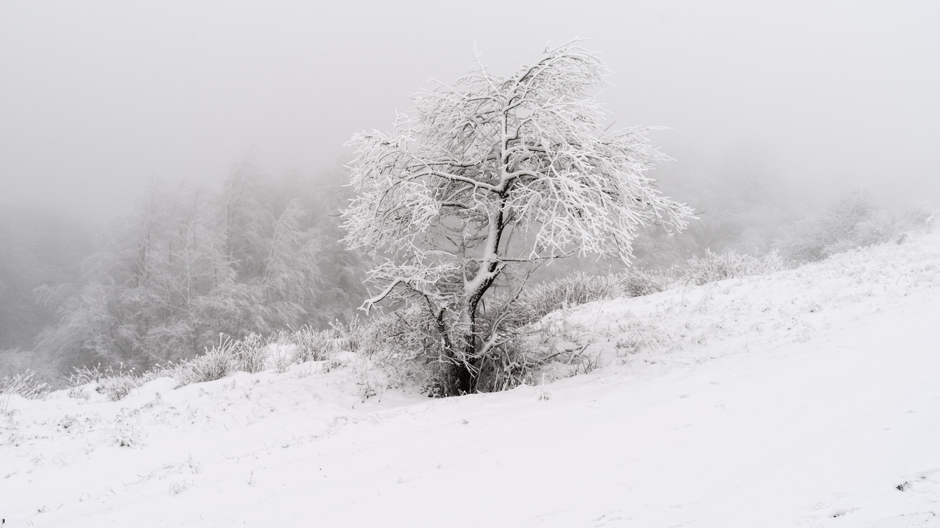 фото "***" метки: пейзаж, 