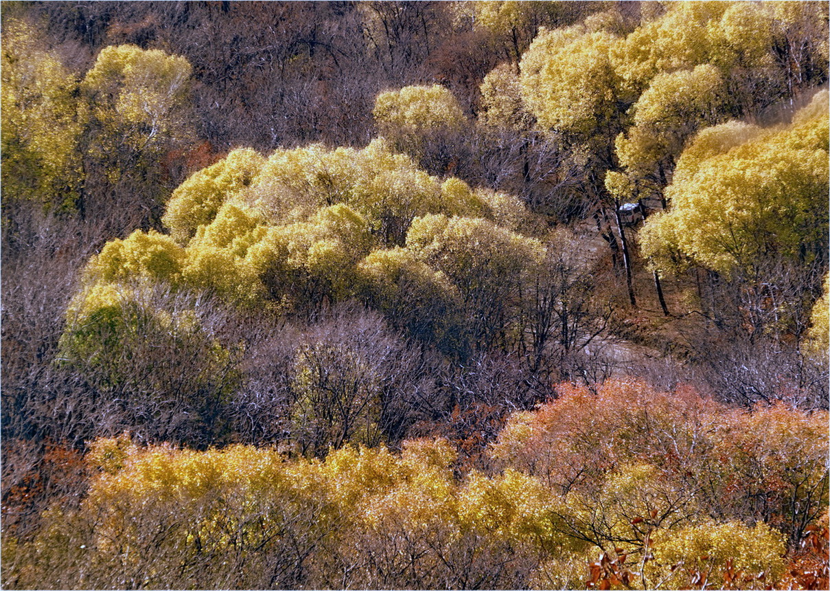 фото "***" метки: пейзаж, 