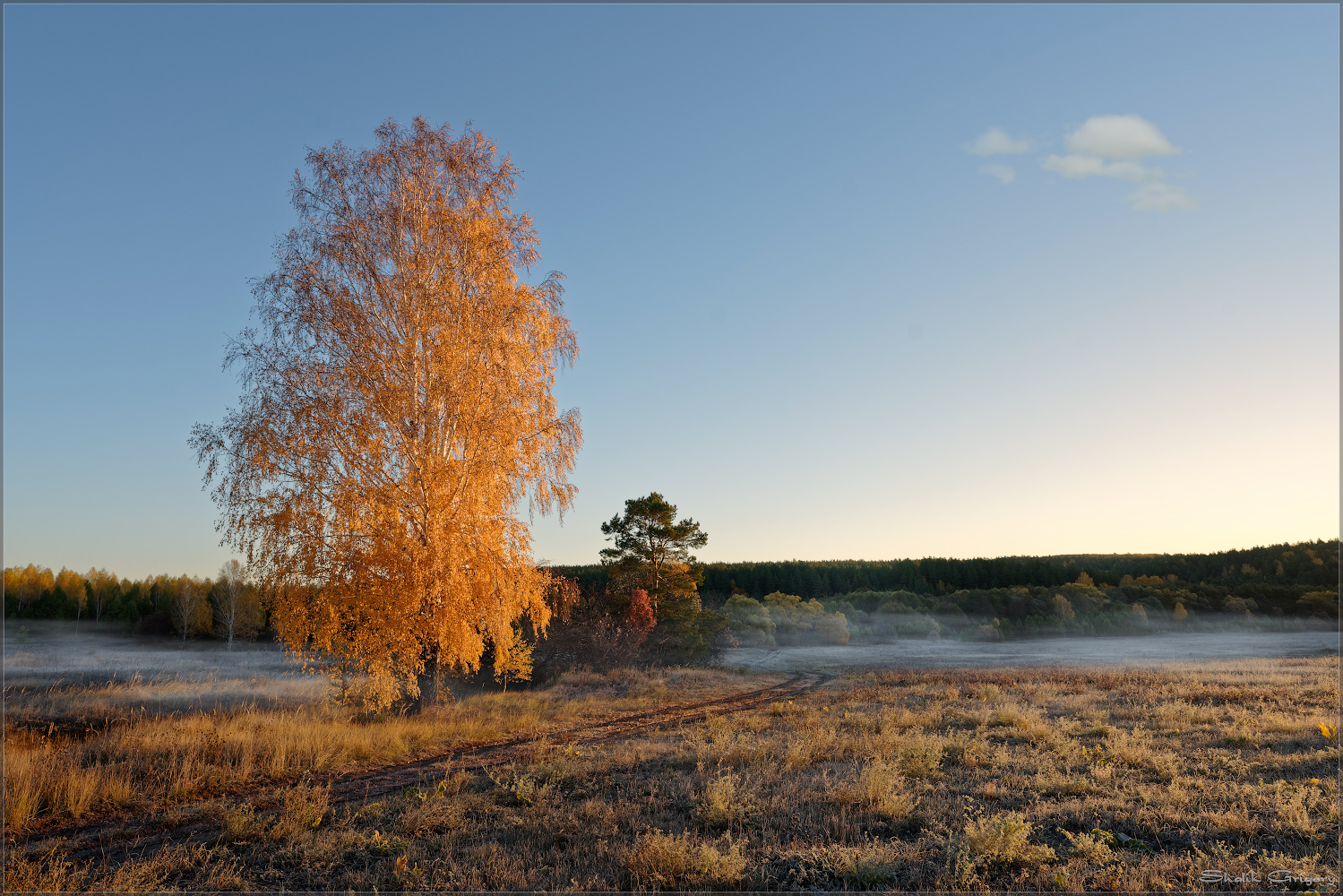 photo "***" tags: landscape, fog, morning, sun, Восход