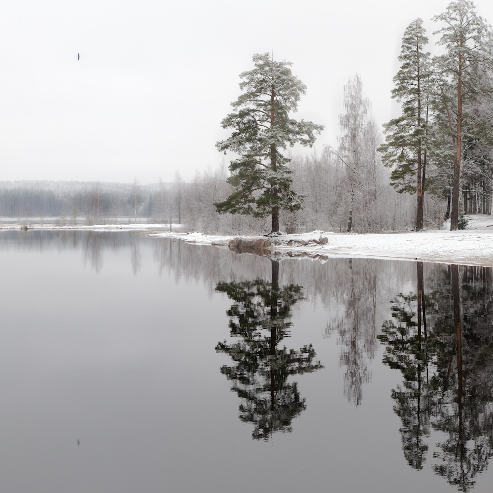 фото "Тишина поздней осени" метки: пейзаж, 