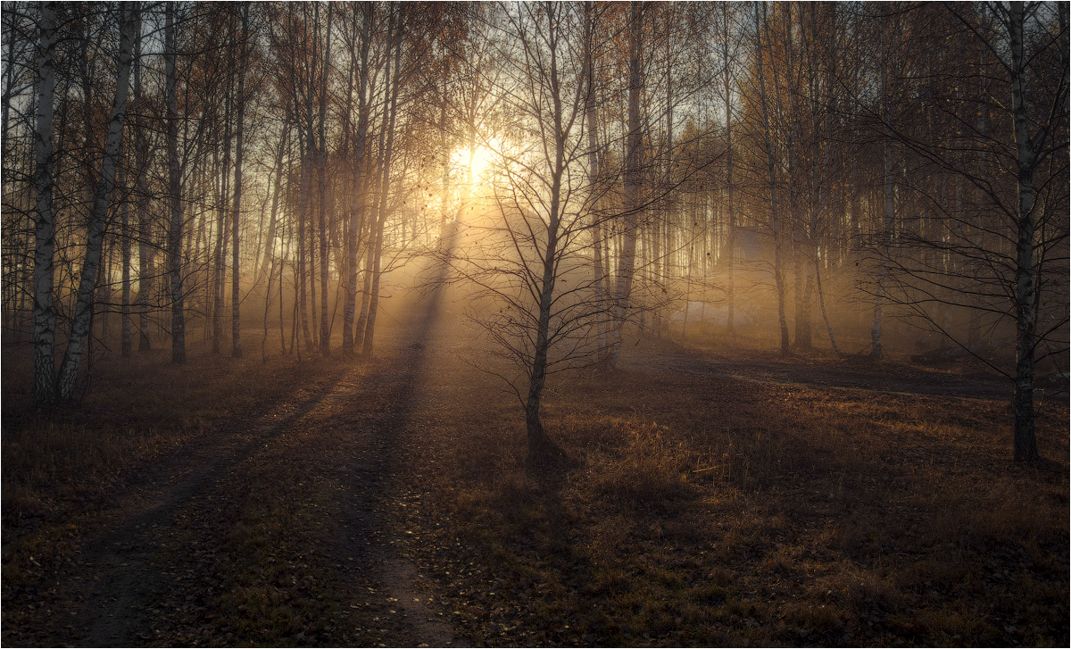 фото "Утром осенним." метки: пейзаж, осень