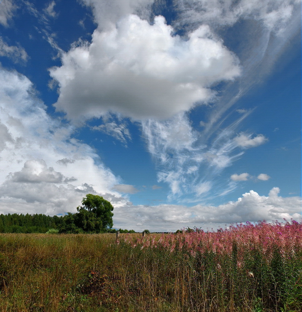 photo "***" tags: landscape, nature, 