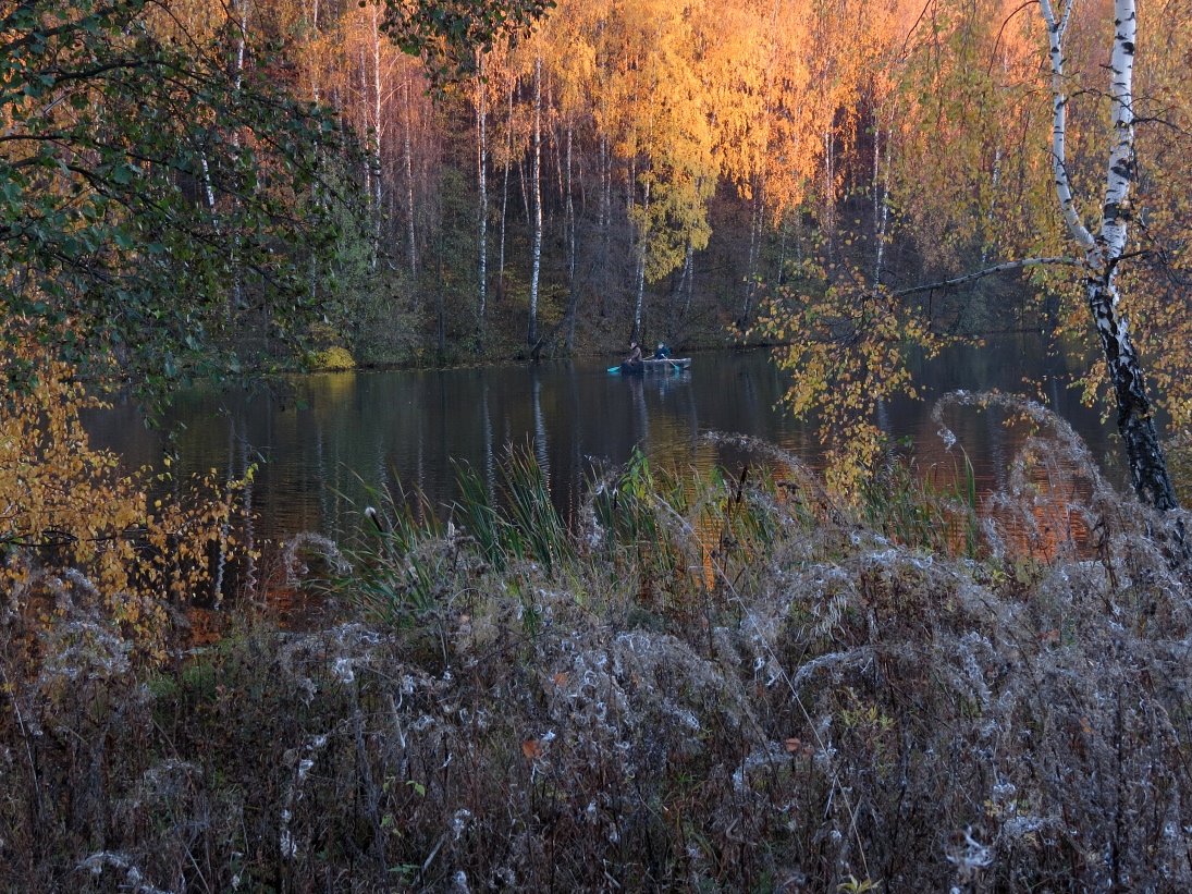 фото "Осенние горизонты" метки: пейзаж, 