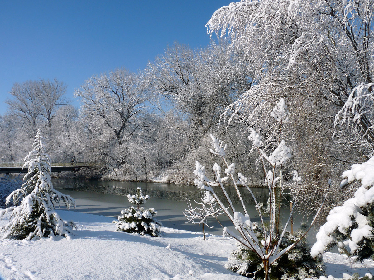 photo "***" tags: landscape, winter