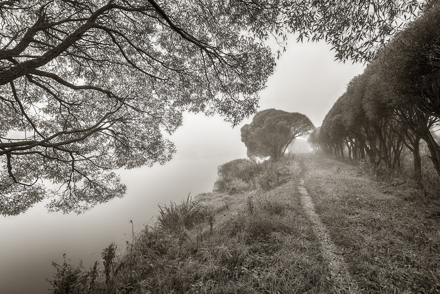 photo "***" tags: nature, landscape, black&white, 