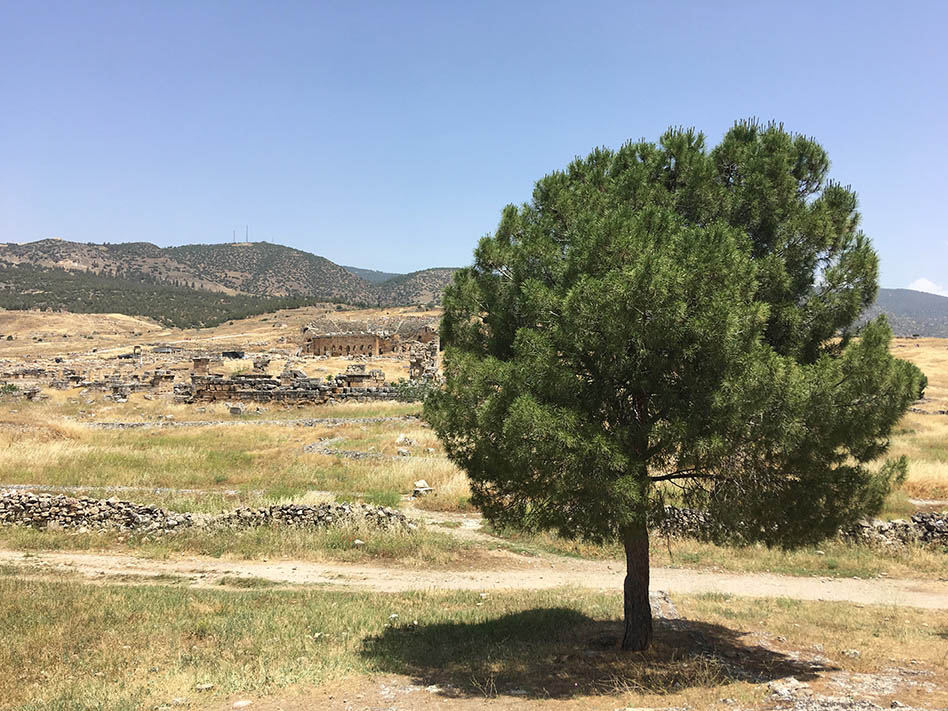 photo "Pamukkale" tags: landscape, travel, nature, Landscape, antiquity, hills, mountains, pamukkale, shadow, summer, sun, travelling, tree, turkey, wasterland, Памуккале, Турция, вестерн, день, путешествие, холмы