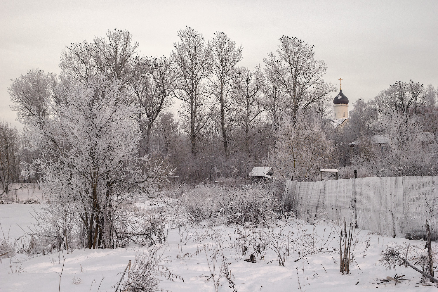 фото "За околицей" метки: пейзаж, 