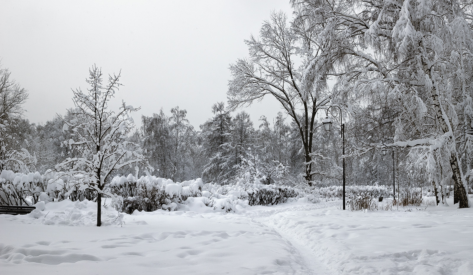 фото "Засыпает снегом белым" метки: пейзаж, природа, 