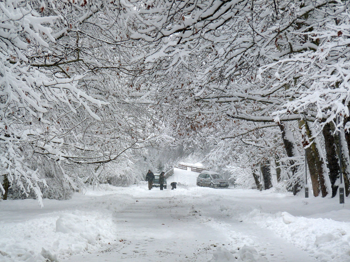 photo "***" tags: city, nature, winter