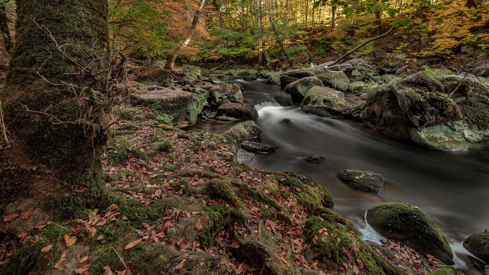 photo "***" tags: landscape, 