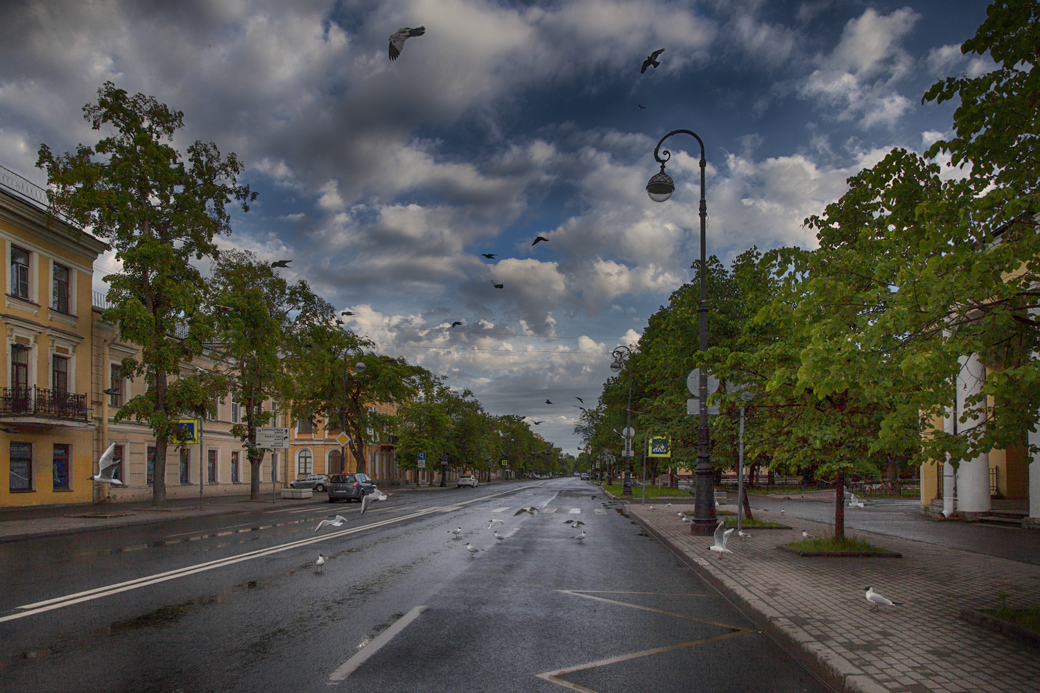 photo "***" tags: street, city, 