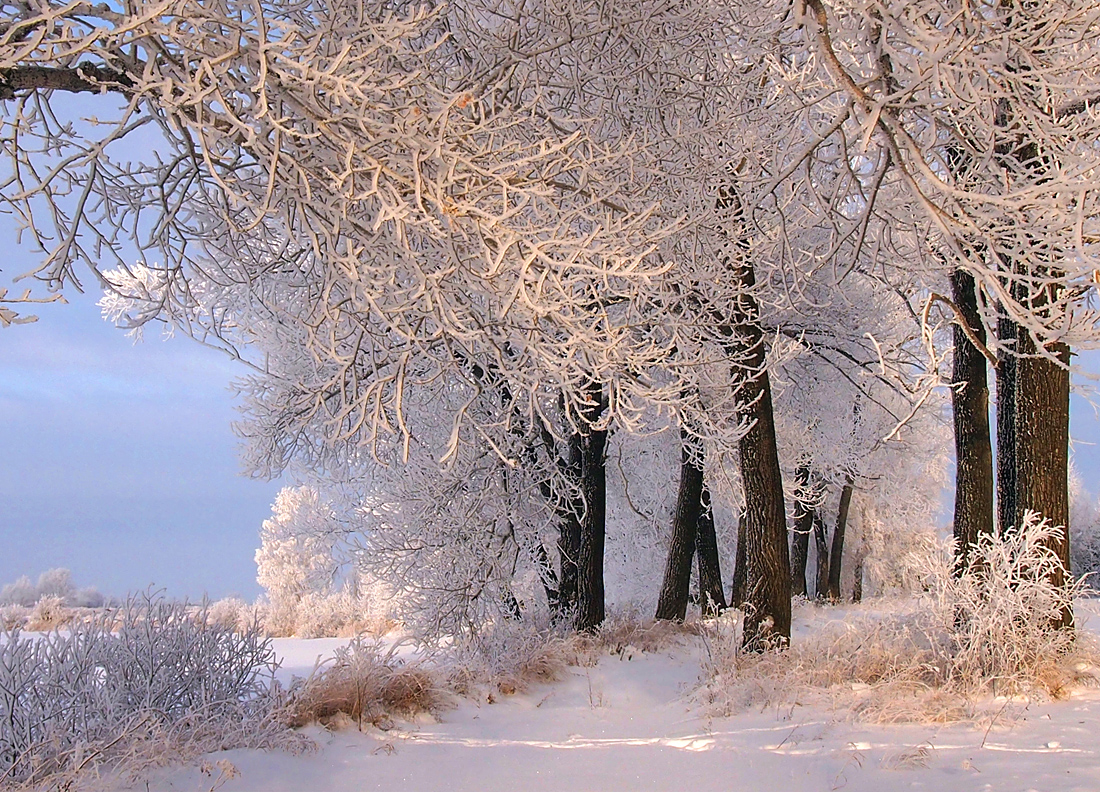 photo "***" tags: landscape, winter