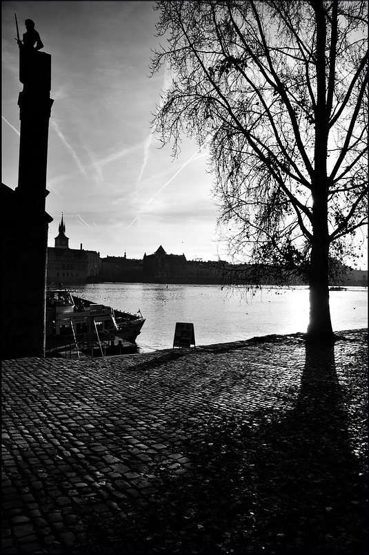 photo "Статуя и дерево" tags: black&white, Prag, Prague, Praha