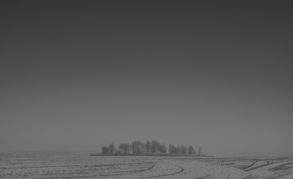 photo "***" tags: landscape, black&white, пейзаж чб зима меланхолия