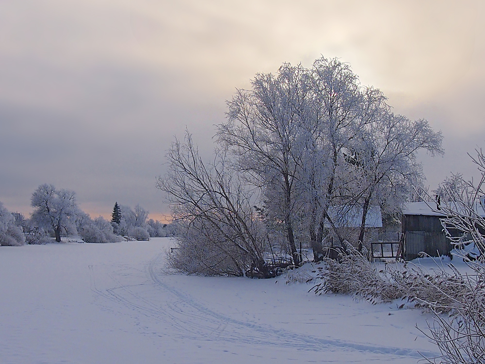 фото "День затихает" метки: пейзаж, зима