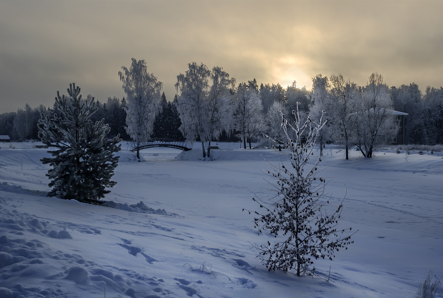 фото "Холодный рассвет" метки: пейзаж, природа, 