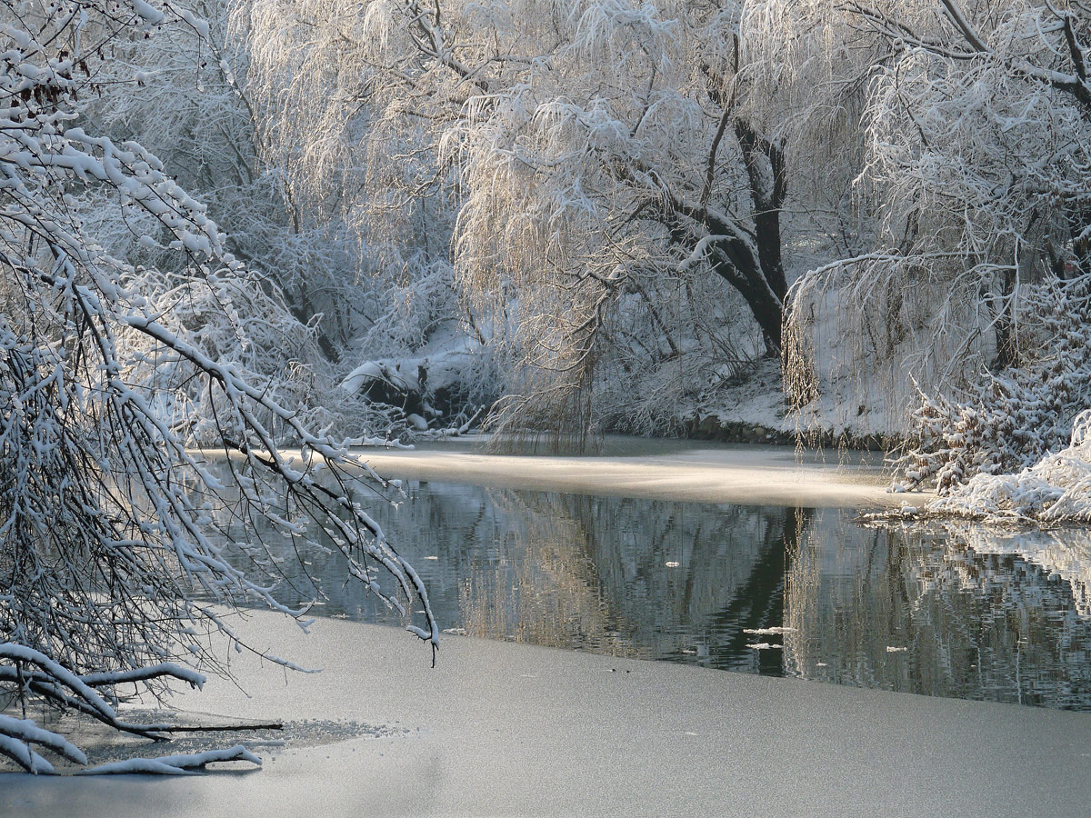 photo "***" tags: landscape, winter