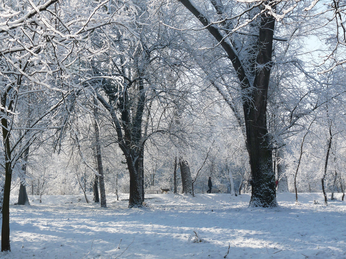 фото "***" метки: природа, зима