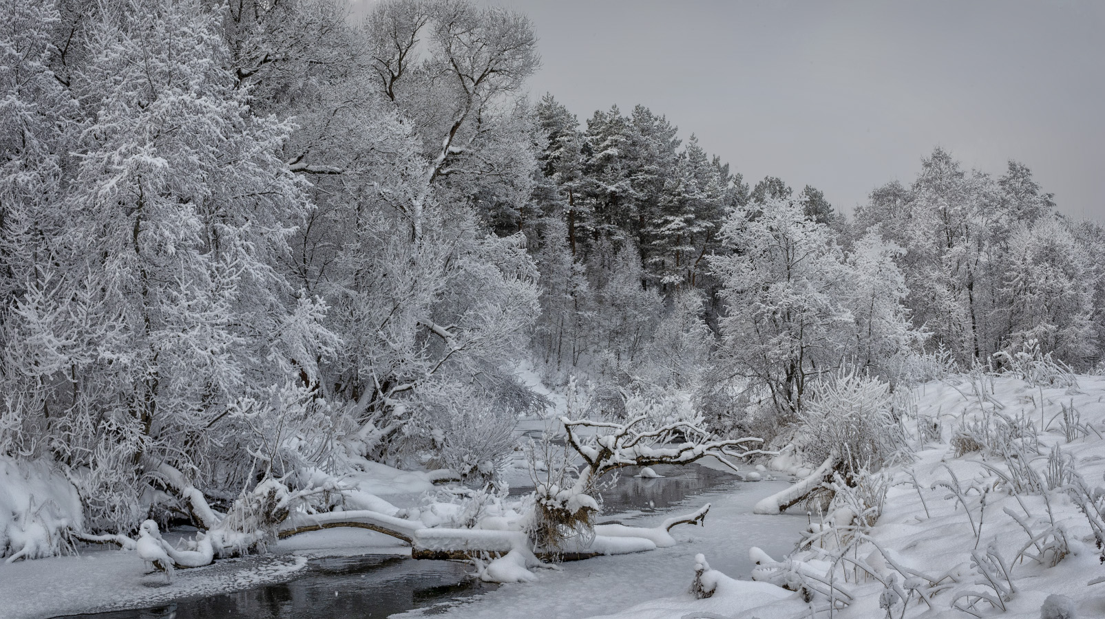 photo "***" tags: nature, landscape, 