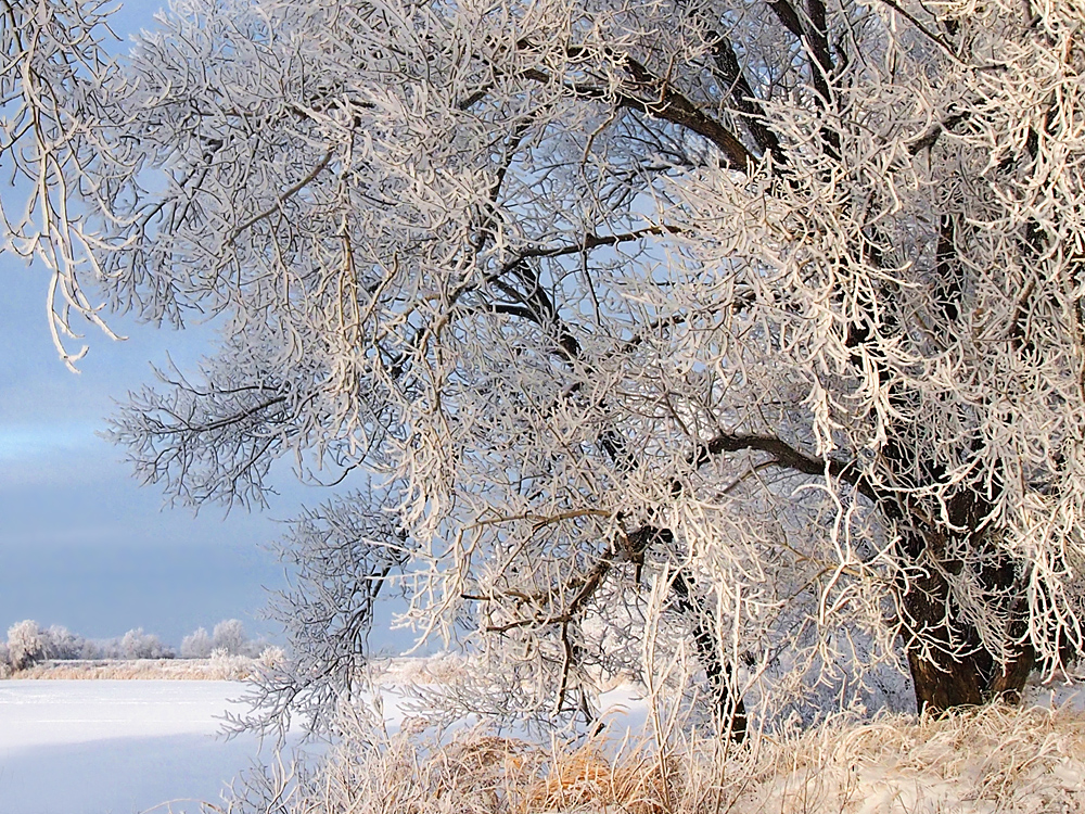 photo "***" tags: landscape, winter