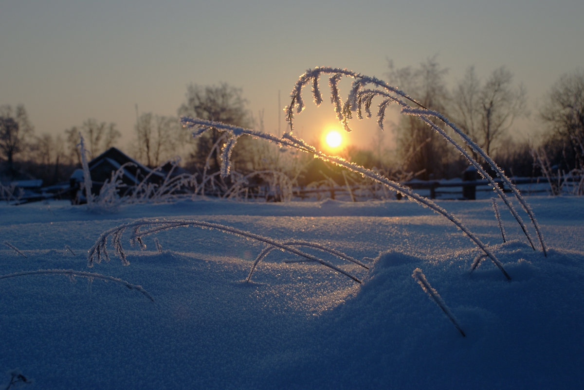 photo "***" tags: landscape, nature, 