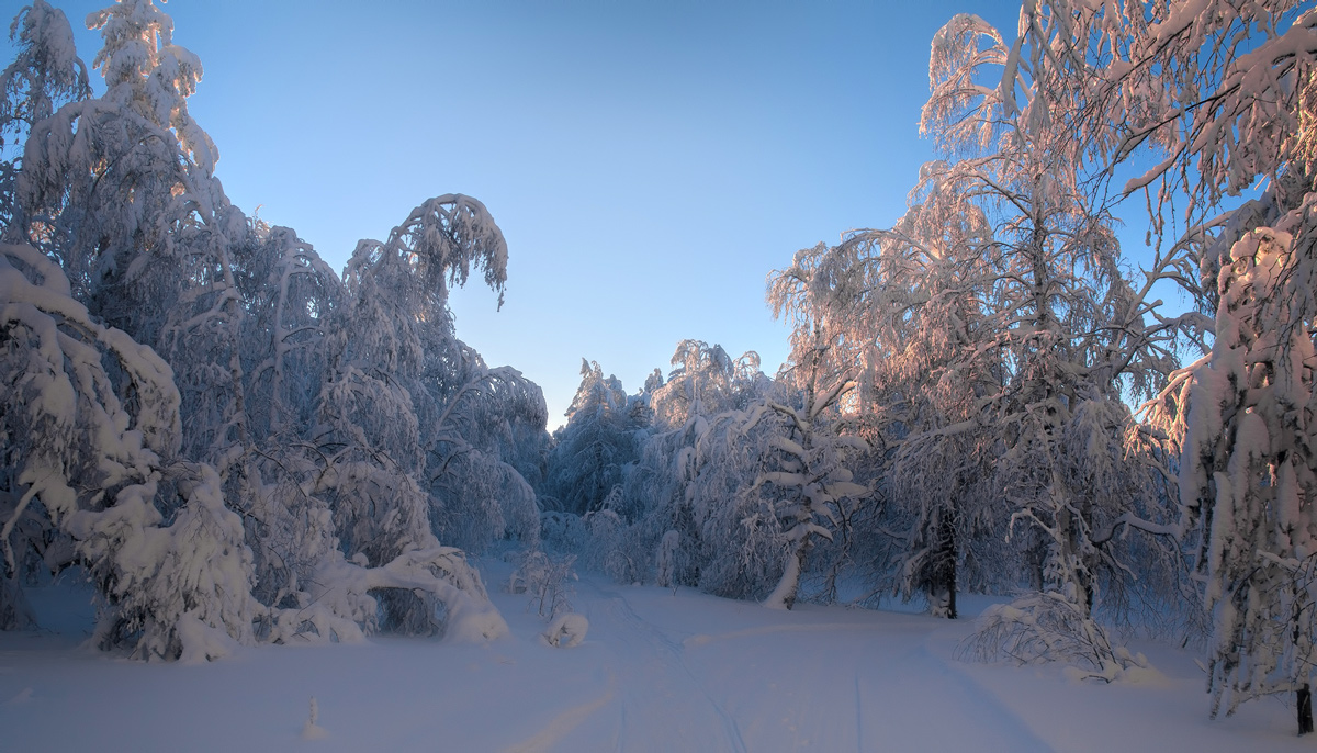 фото "Сказочный лес" метки: пейзаж, 