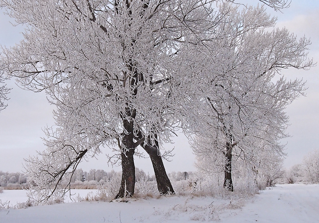 photo "***" tags: landscape, winter