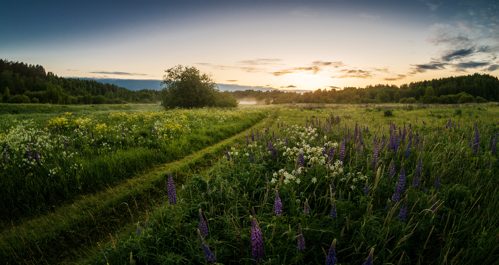 фото "летним утром" метки: природа, пейзаж, 