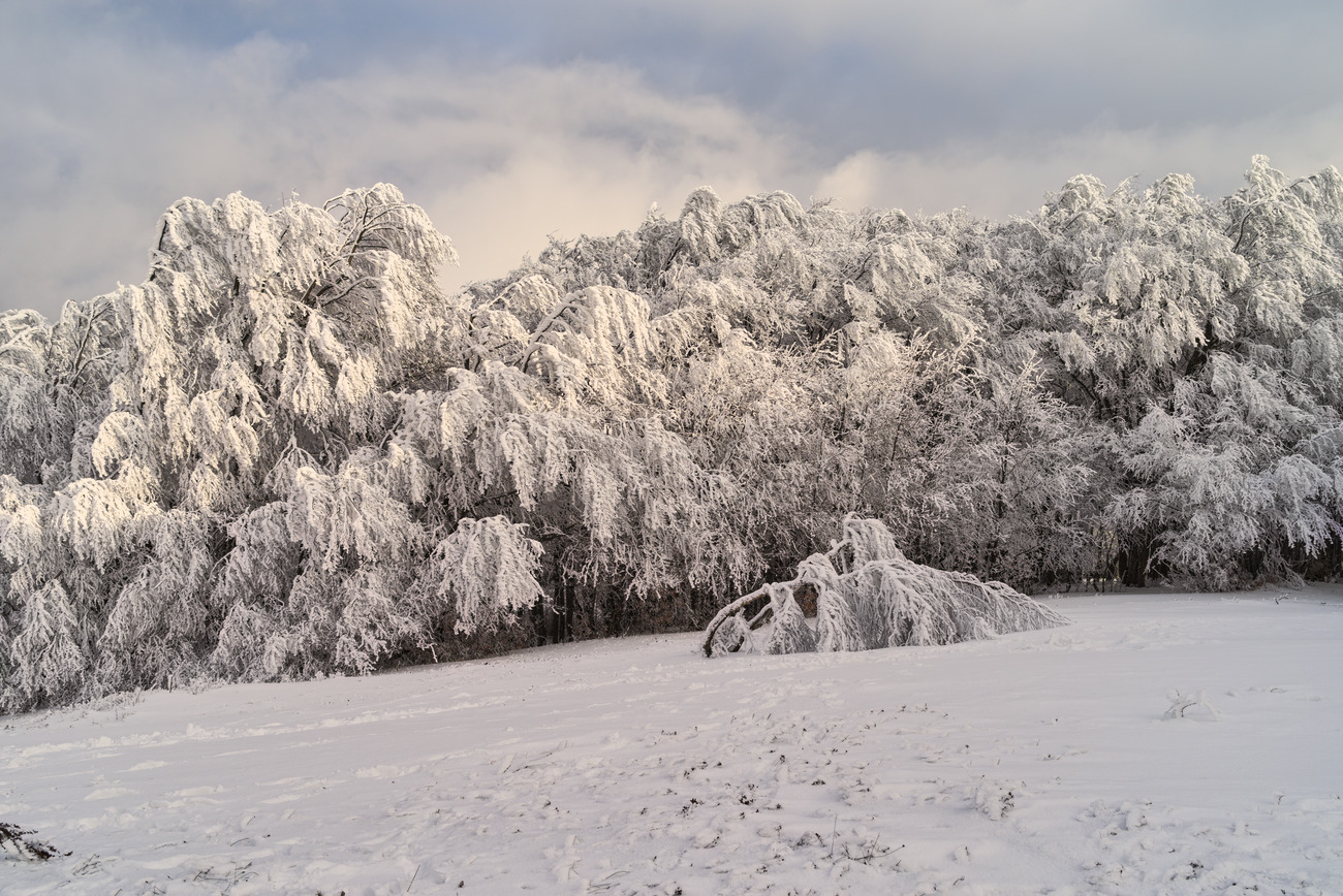 photo "***" tags: landscape, 