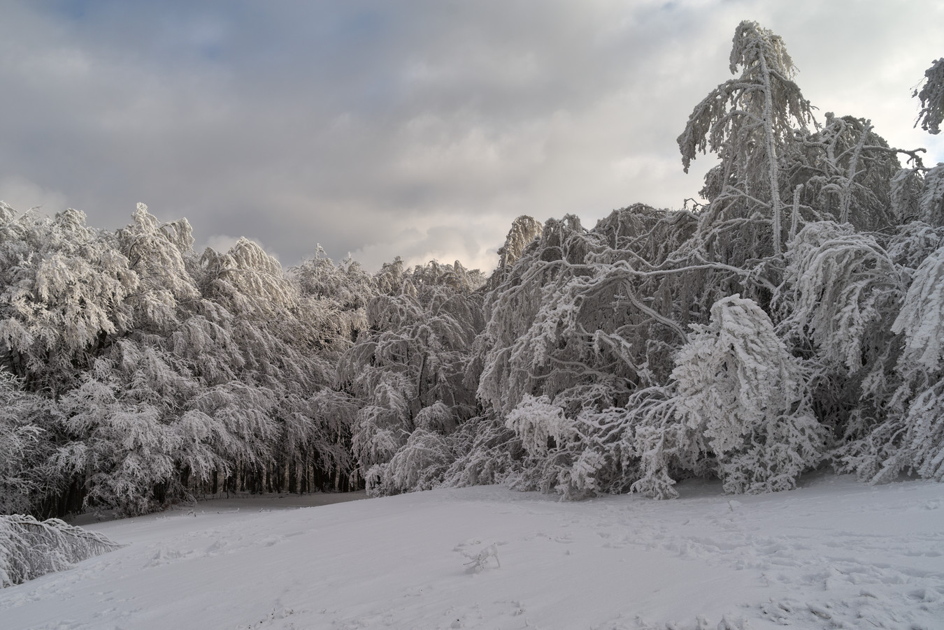 фото "***" метки: пейзаж, 